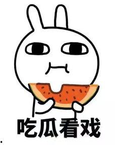 吃瓜看穿搭,品味时尚穿搭美学 第1张 吃瓜看穿搭,品味时尚穿搭美学 第1张